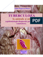 TUBERCULOZA