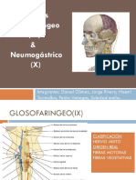 nervios IX Y X