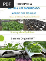 NFT