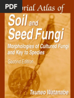 Download Soil Seed Fungi by Janel Lucena SN36557643 doc pdf