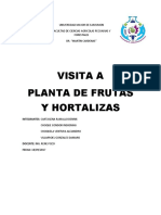 Planta de Frutas y Hortalizas