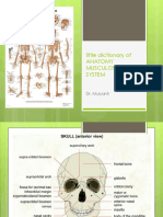 Little Dictionary of Anatomy Musculoskeletal System