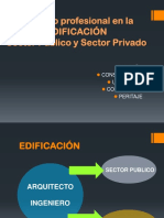 Ejercicioprofesional.sector Publico.privado