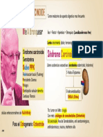 Tumor Carcinoide