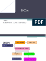 1. ENZIM 2.ppt