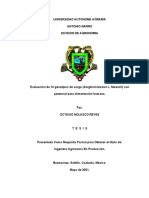 Evaluacion de 14 Genotipos de Sorgo (Sorghum Bicolor l. Moench) Con Potencial Para Alimentacion Humana