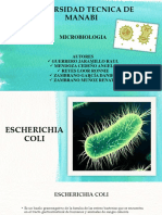 E.coli - Microbiologia