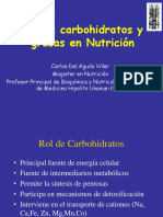 Rol CHO y Grasas en Nutricion A PDF