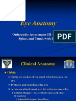 Eye Anatomy