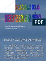 Aportes Culturales Etnias de Amèrica