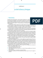 piso de boca.pdf