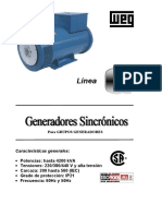 Generadores WEG PDF