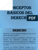 Conceptos Basicos Del Derecho