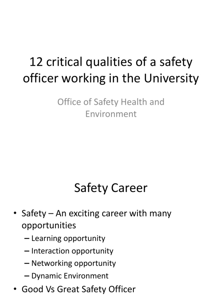 12 Qualities of Safety Officer PDF