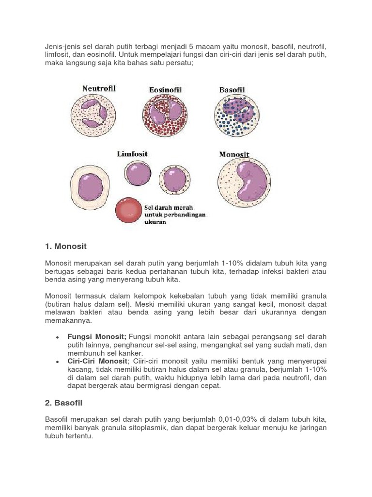 Jenis Jenis Darah Pdf