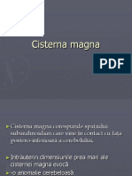Cisterna Magna