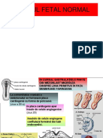 CORDUL FETAL NORMALversiune Finala