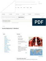 Bovine Herpesvirus 1 Infections