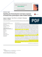 Modeling the Biomechanical and Injury Response