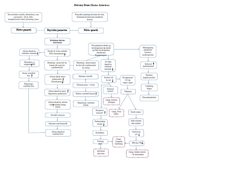 Pathway Pda | PDF