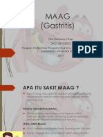 PPT MAAG