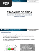 Campo magnético e sua influência sobre cargas elétricas