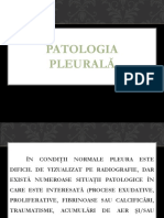 Patologia pleurala.ppt