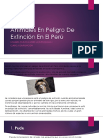 Animales en Peligro de Extinción en El Perú