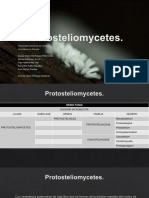 Protosteliomycetes micologia.pptx