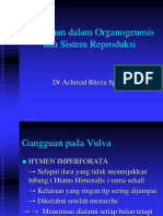 Gangguan Dalam Organogenesis Dan Sistem Reproduksi