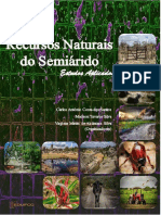 Artigos Workshop Recursos Naturais