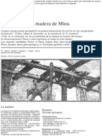 archivo_eucalipto_propiedades.pdf