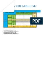 Plantilla Matriz Confrontación (FODA) 