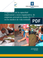 Diagnostico de La Capacidad Empresarial PDF