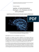 La Dopamina, El Neurotransmisor Que Más Distingue a Los Humanos de Los Otros Primates (LA VANGUARDIA)