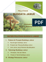 Budidya-jamur