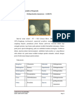 Album Fosil Foraminifera