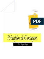Aula 01 Princípios de Contagem.pdf
