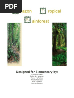 Download Rain Forest by Saris Ki SN36566170 doc pdf