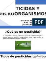 Pesticidas y Microorganismos