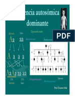 6Herencia Autosómica Dominante [Modo de Compatibilidad]