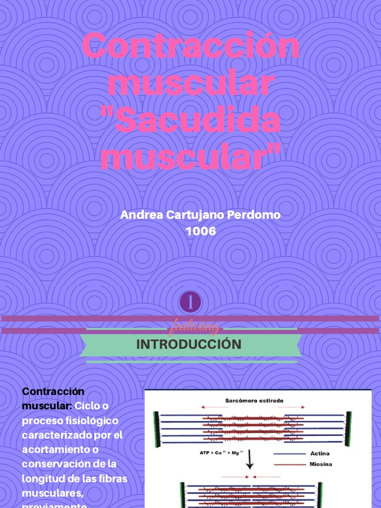 Sacudida Muscular | PDF | Contracción muscular | Músculo