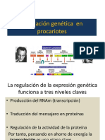 Regulación Genética en Procariotes