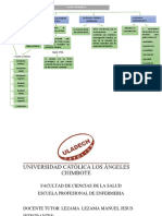 Antropologia Mapa CONCEPTUAL PDF