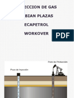 8 Inyeccion Gas