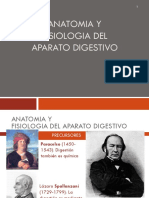 Anatomia Del Aparato Digestivo