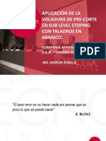 mrojas.pdf