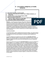 Los pueblos indigenas y el MA.pdf