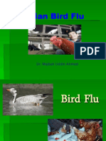 23568057-Bird-Flu