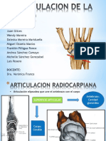 Articulaciondelamano